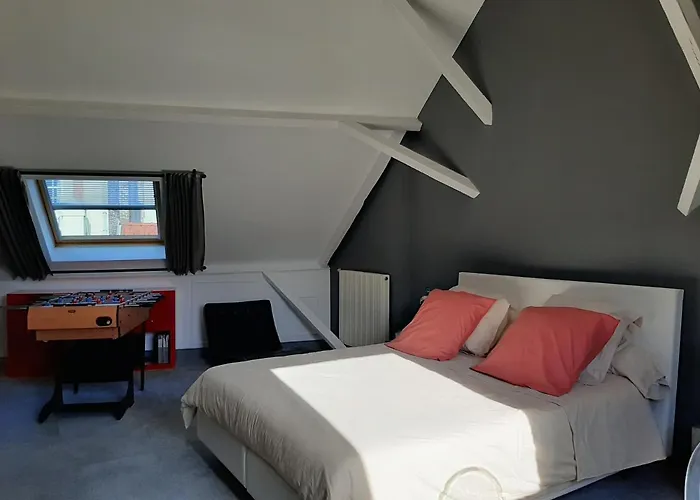 La Villa 30 Lille